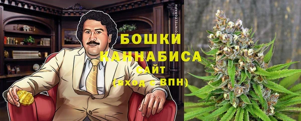 дмт Богородск