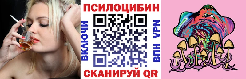Псилоцибиновые грибы прущие грибы  закладки  это клад  Дорогобуж 
