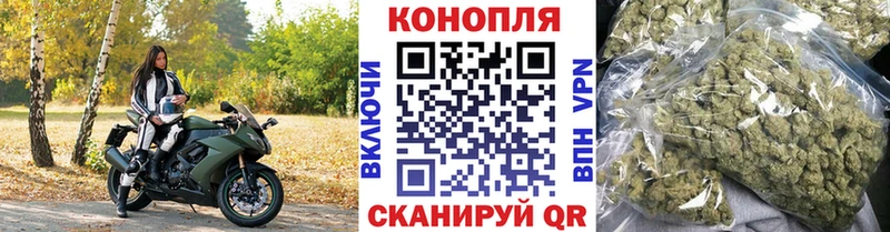 наркотики  Дорогобуж  Бошки марихуана тримм 